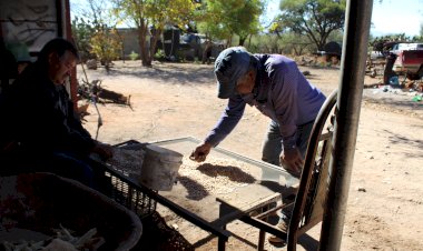 Segalmex, otra institución sin impacto en campo zacatecano