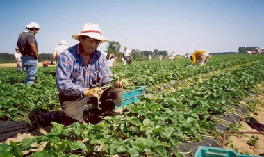 México, gran exportador de obra barata