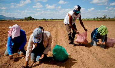 La autosuficiencia alimentaria, imposible en el neoliberalismo (I/II)