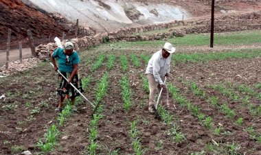 El imperialismo en el complejo agroalimentario mundial