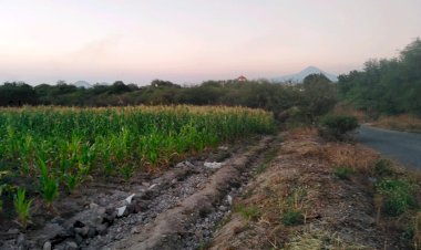 Se necesitan fertilizantes e insumos agrícolas