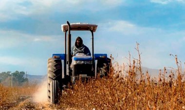 El Gobierno federal no apoya al campo mexicano