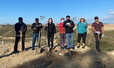 Inicia reforestación en La Jolla