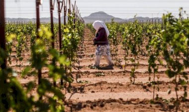 A los pobres del campo y la ciudad