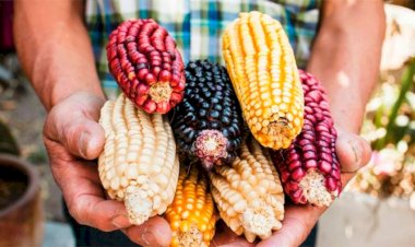 El encarecimiento de los alimentos, resultado de una mala política Agropecuaria