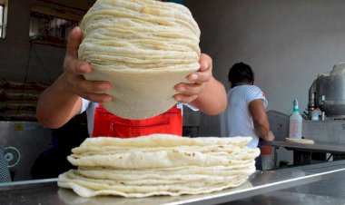 La 4T provoca aumento histórico al precio de la tortilla 