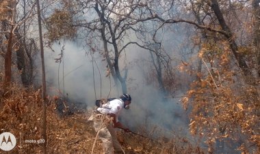 Evita Protección Civil incendios oportunamente