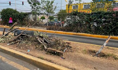 El tren del ecocidio de la 4T que llegó a Chimalhuacán 