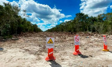 Un ecocidio llamado Tren Maya; culpable López Obrador