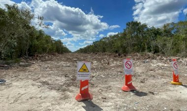 Tren Maya, devastación ambiental y pobreza