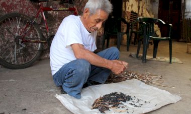 Hambruna en las zonas rurales de Hidalgo