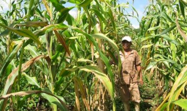 CRÓNICA | Vivir del campo, pero sin apoyo