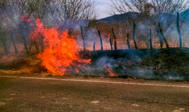 Necesario, que los tres niveles de gobierno atiendan y controlen incendios forestales