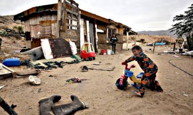 Impactos de la política federal ante la pandemia