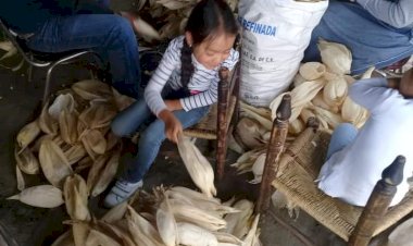 La 4T y el recorte presupuestal al campo mexicano