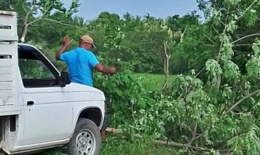 Oaxaqueños organizados gestionaron “camino cosechero” para campesinos costeños