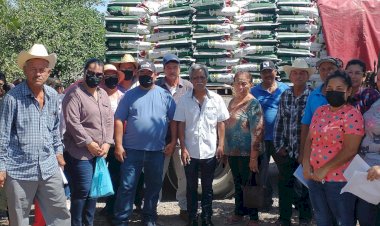 Sinaloenses  gestionaron exitosamente semilla de sorgo para productores temporaleros 