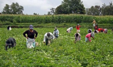 México no se escapa de la crisis mundial de Alimentos