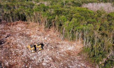 Tren Maya, más efectos negativos que positivos