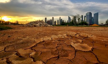 El cambio climático y el capital 