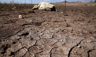 Guerras por agua, más cerca de lo que creemos