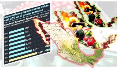 Inflación y dependencia alimentaria