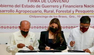 Raquíticos apoyos al campo guerrerense