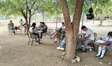 Regreso a clases presenciales bajo la sombra de un árbol