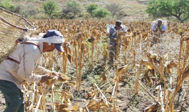 Crisis en el campo