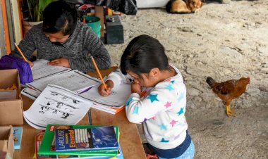 El rezago educativo reproduce la desigualdad social