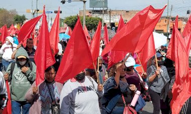 Honremos la constitución