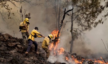 Despuntan incendios forestales; peligra abasto de agua en hogares humildes