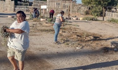 Antorchistas reforestan área verde en Puerto Libertad