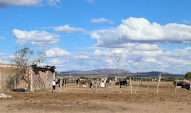 Pese a sequía y calor extremo, campesino labra su tierra