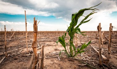 La sequía y el desabasto de agua sí le competen al gobierno