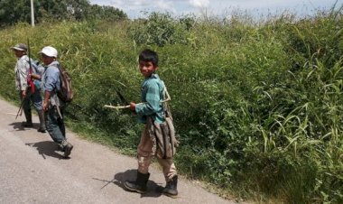 Ante la falta de obreros aumentan trabajadores infantiles en zafra de Quintana Roo