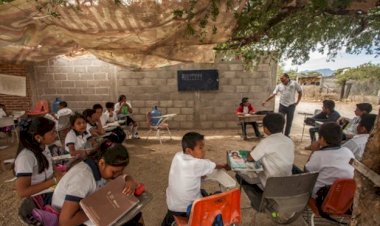 Educación a la baja