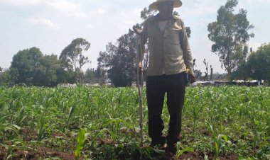 Nulo apoyo, principal problema en el campo mexiquense