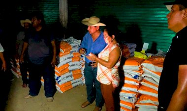 Semilla mejorada llega a campesinos de Tierra Caliente