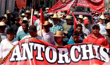 Antorcha nació para luchar