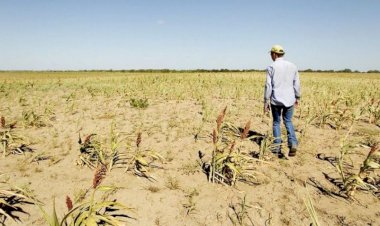 Abandono y desprecio al campo y agricultores en la 4T