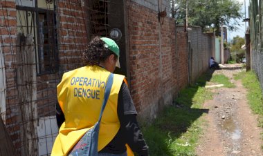 REPORTAJE | Aumentan los casos de dengue en Guanajuato