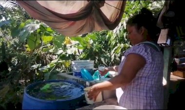 Habitantes de la Unidad Antorchista de Mandinga y Matoza en el olvido desde la llegada de la 4T