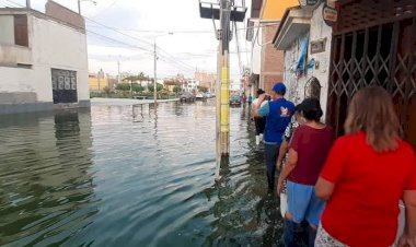 Otra pandemia de la 4T: el dengue