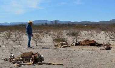 La sequía, otro desastre natural ignorado por la 4T