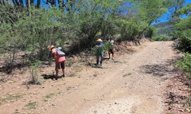 Xayacatlán de Bravo: abandono total de las autoridades