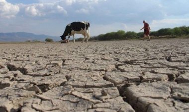 Minimizar el problema de la escasez de agua lo profundizará