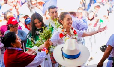 No hay a cual irle: tan malo el pinto como el colorado