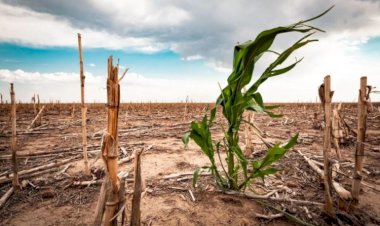 Ante la falta de agua potable, hay que luchar