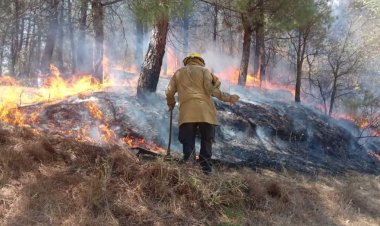 Deforestación, incendios y sequía, males del capitalismo